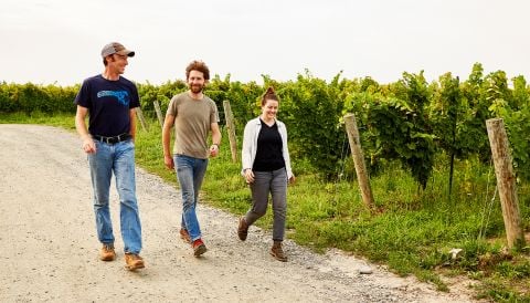 Fred Merwath, winemaker Dillon Buckley and assistant winemaker Bryanna Cramer at Hermann J Wiemer in New York's Finger Lakes