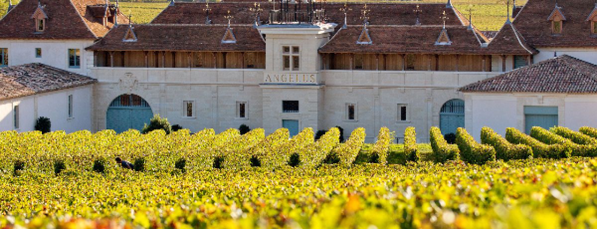 Château Angélus Tasting Masterclass & Dinner
