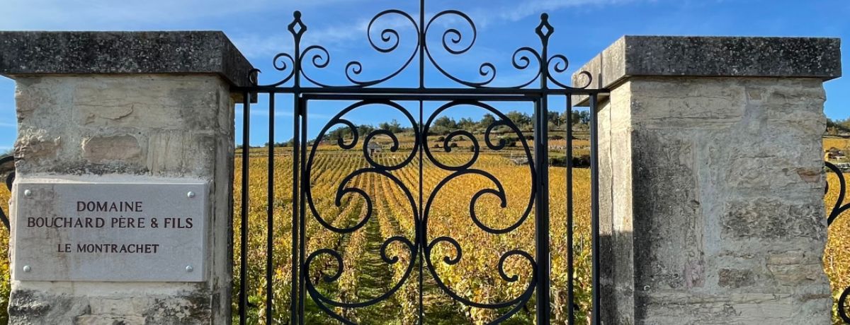 Davy’s 2022 Burgundy En Primeur Tasting