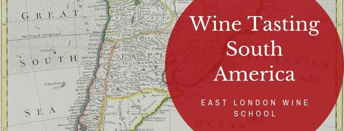Discover Wines from South America - East London