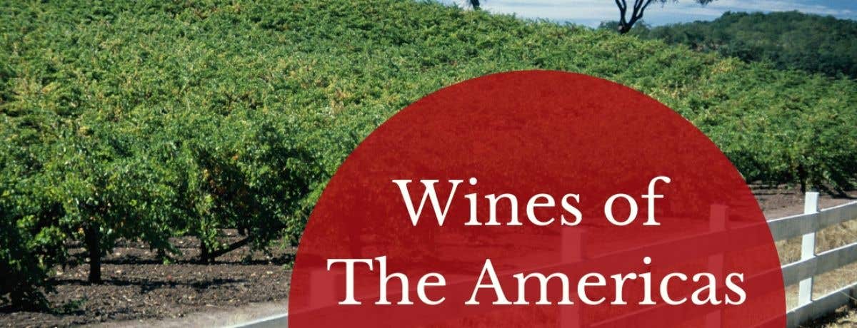Discover Wines from North America - East London