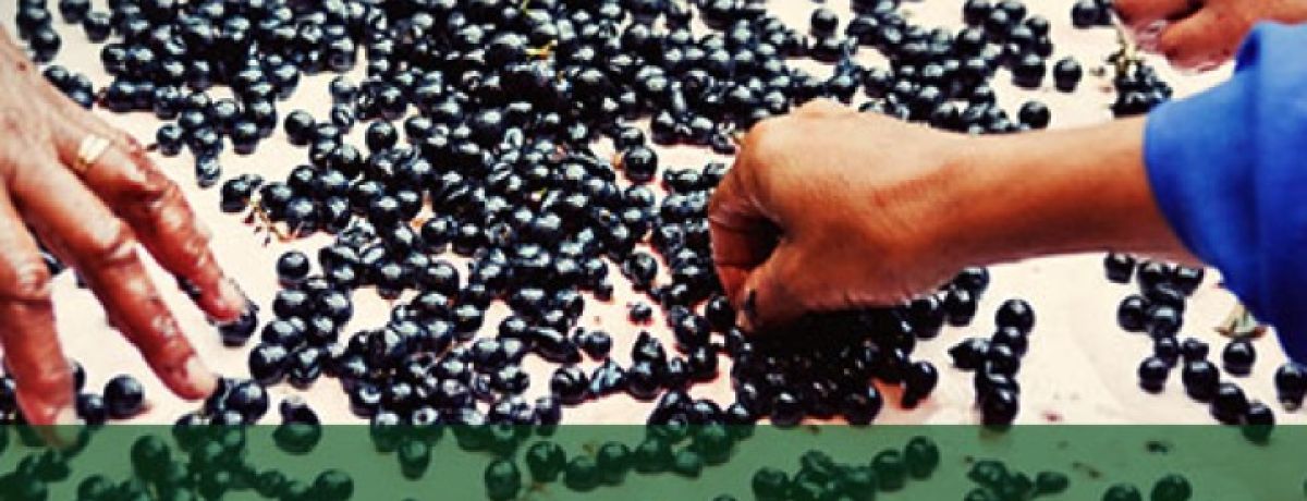 WSET Level 3 Award in Wines Course - Manchester