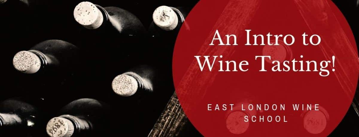 Introduction to the World of Wine