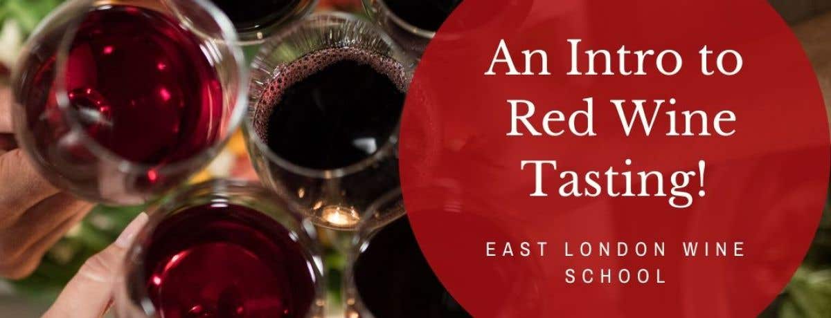 Introduction to Wine - Red Wine from Around the World - East London