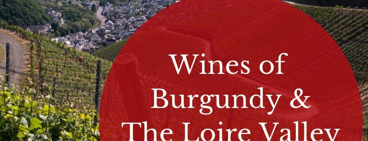 Discover Wines of Burgundy and the Loire Valley - East London