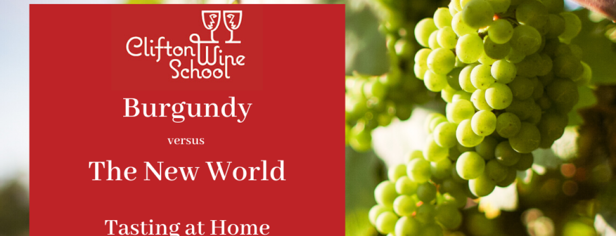 Tasting at Home - Burgundy versus The New World