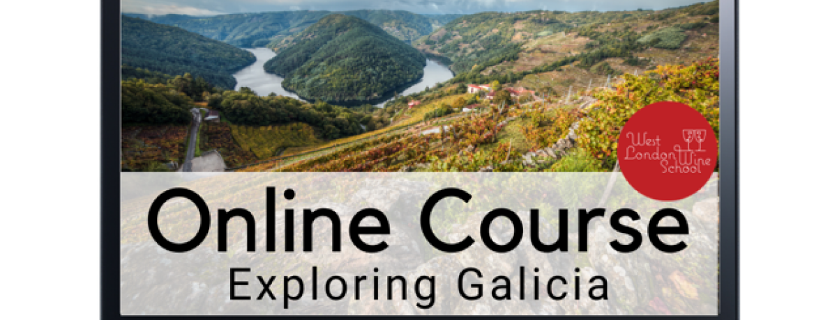 Online Tasting: Exploring Galicia with Diego Munoz and Jimmy Smith