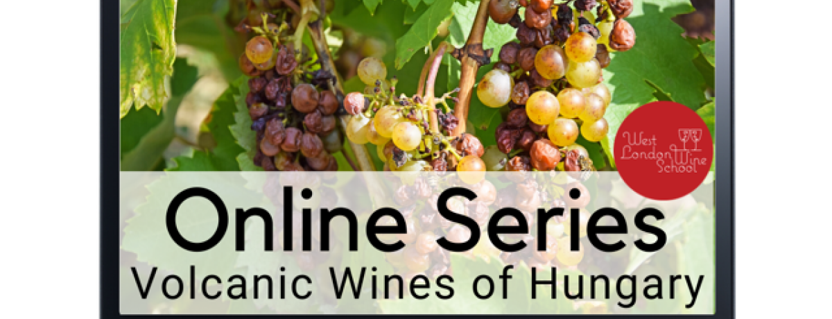 Online Tasting: Volcanic Wines of Hungary with Mihaly Konkoly, Istvan Balassa and Jimmy Smith