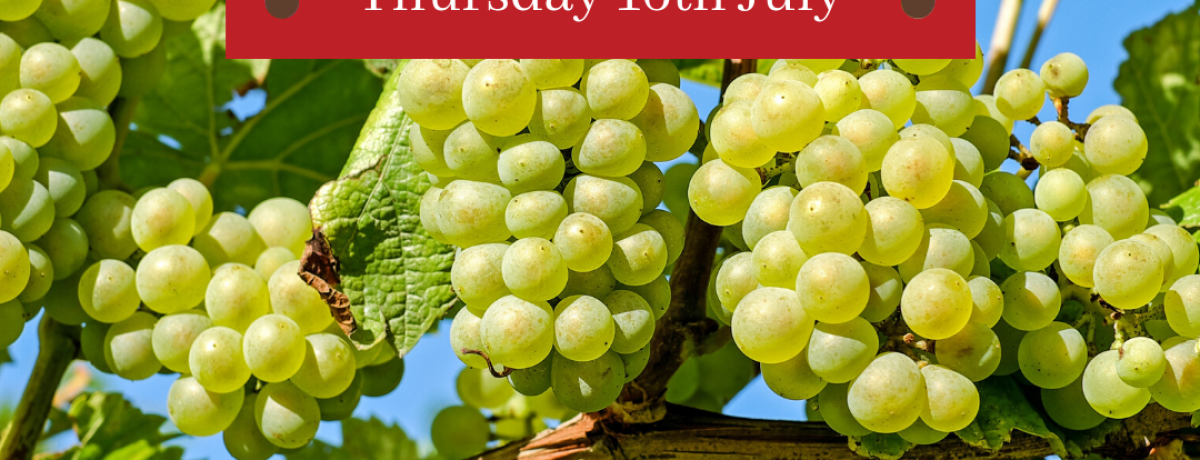 Online Tasting - The Different Faces of Chardonnay