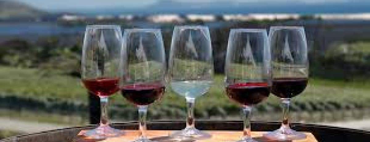 Discover Spain & Portuha; - Four week course with West London Wine School