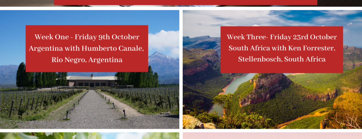 Online Access: Meet The Winemaker Week Three - South Africa