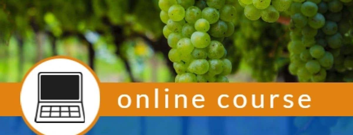 WSET ONLINE Level 2 Award in Wines - Afternoons