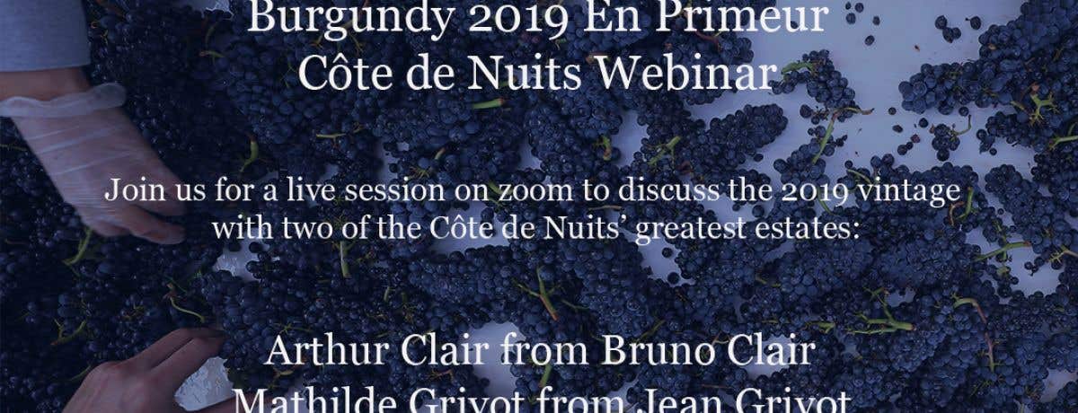 Burgundy 2019 En Primeur - Côte de Nuits Webinar