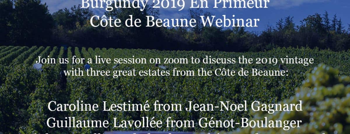 Burgundy 2019 En Primeur - Côte de Beaune Webinar