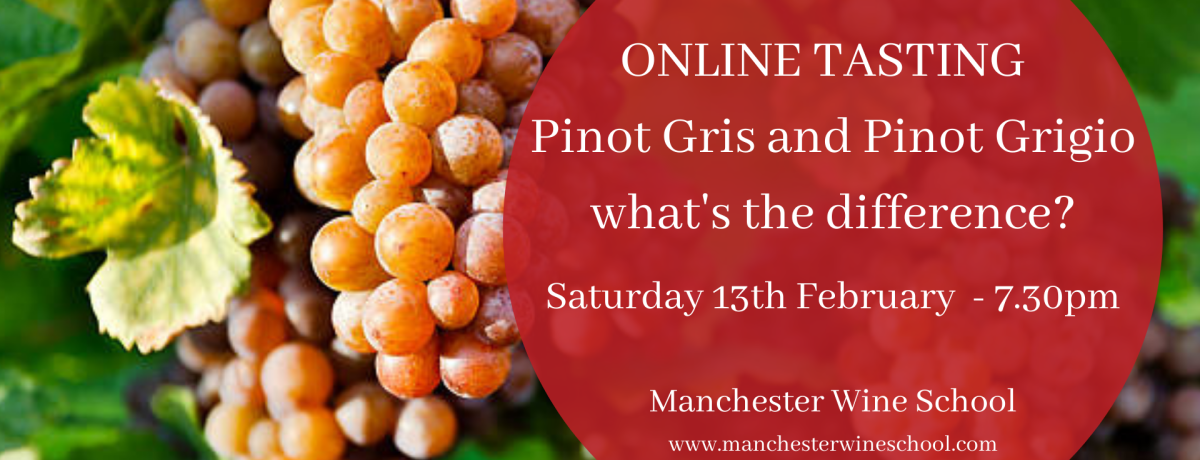 ONLINE TASTING - Pinot Gris and Pinot Grigio - what's the difference?