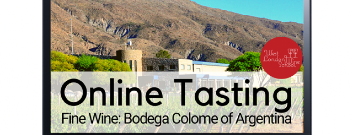 Online: Wines with Altitude - Bodega Colome of Argentina with winemaker Thibaut Delmotte & West London Wine School