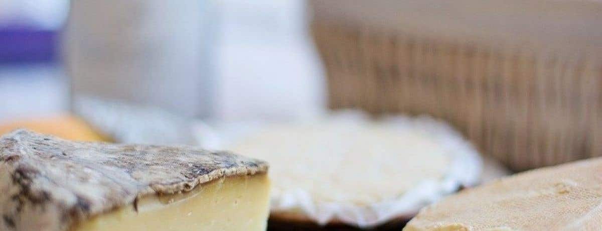 BRIGHTON - Cheese and wine pairing
