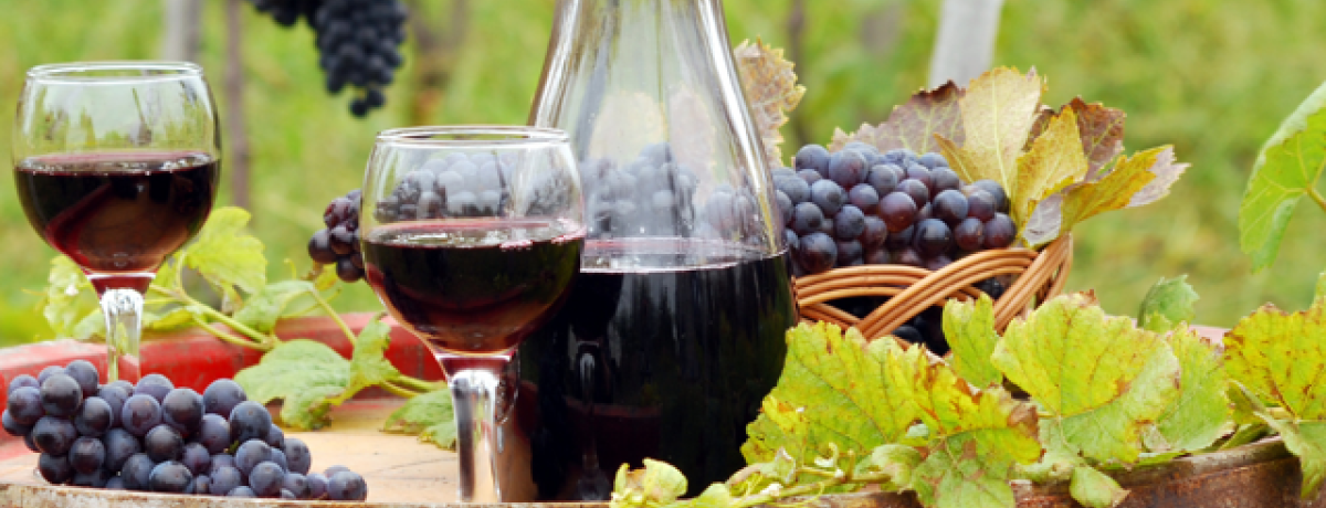 Discover Spain & Portugal - Four week course with West London Wine School