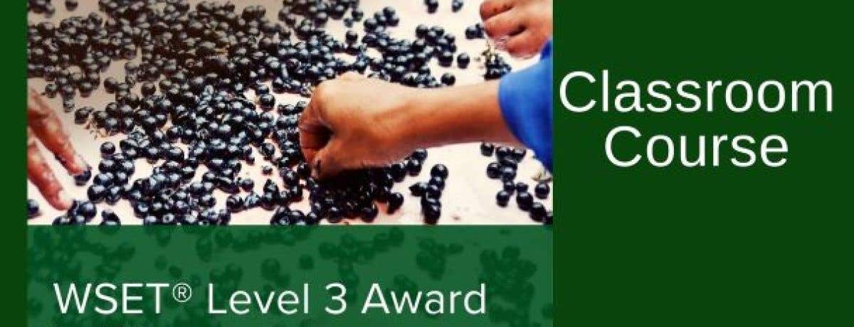 WSET Level 3 in Wines Award at the David Game Private College, London