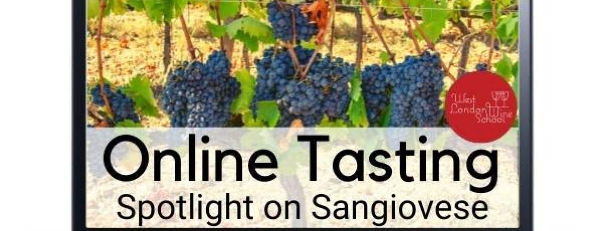 ONLINE TASTING: Spotlight on Sangiovese with Jimmy Smith
