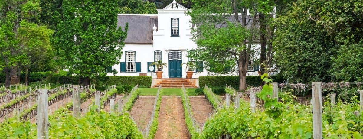 South Africa - Fine Wines from a new generation - Brighton