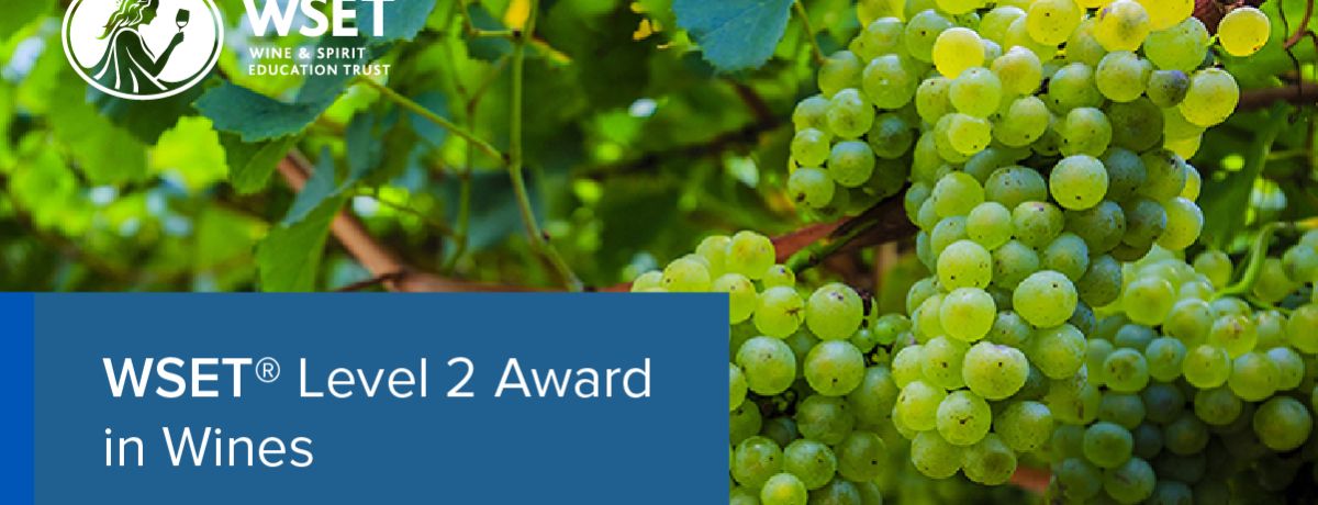 WSET Level 2 Award in Wines at Chapel Down Winery