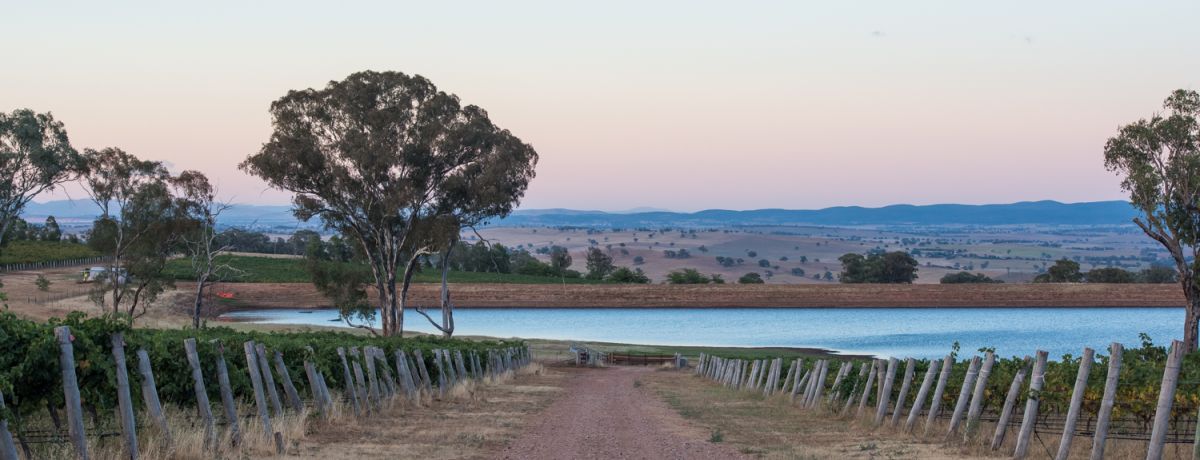 NSW Trade Tasting & masterclasses