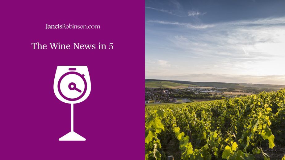 Chablis vineyards and wine-news in 5 logo