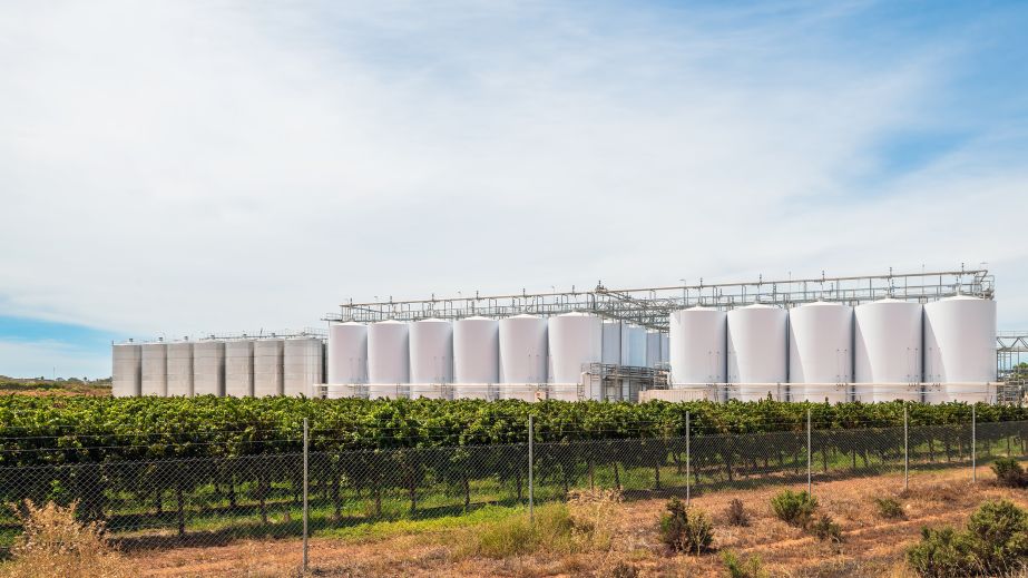 Australian wine tanks and grapevines
