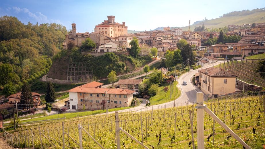 Barale estate and vineyards