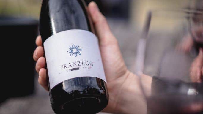 Outlawed Pranzegg wine grown on pergola in northern Italy