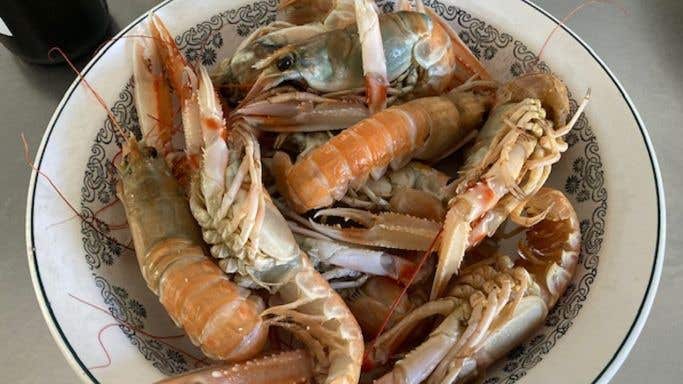 Langoustines in the Languedoc