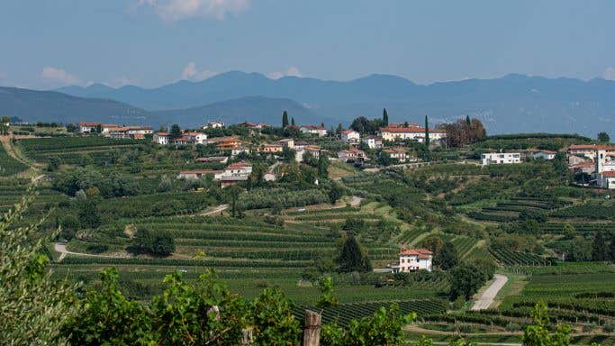 Brda landscape in western Slovenia