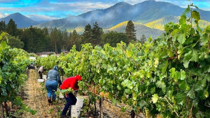 Troon vineyard in Oregon