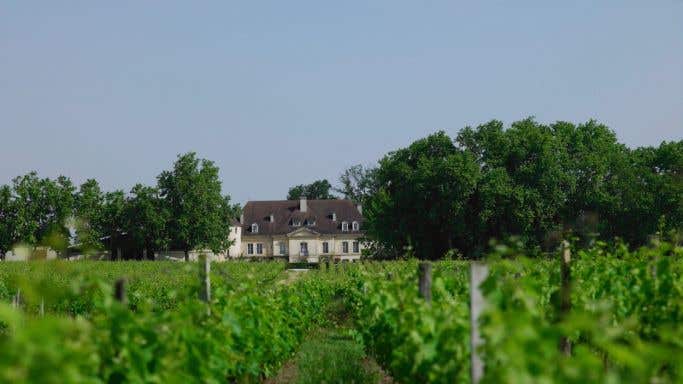 Bouscaut vineyard and chateau
