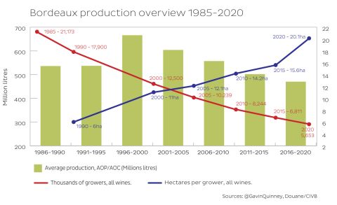 Bordeaux production overview 1985-2020