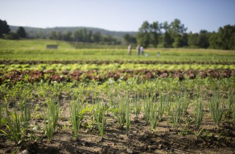 Fishkill Farms in NYS