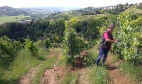 Andrea Picchioni in his vineyards in Lombardy