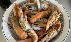 Langoustines in the Languedoc