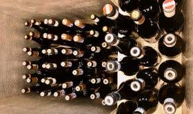 Grafenegg tasting bottles in cooler