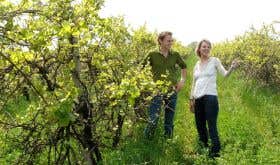 Angela and Werner Michlits of Meinklang wine estate