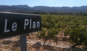 Vineyard in Le Plan de Dieu, southern Rhône