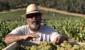 Phil Coturri of Enterprise Vineyards