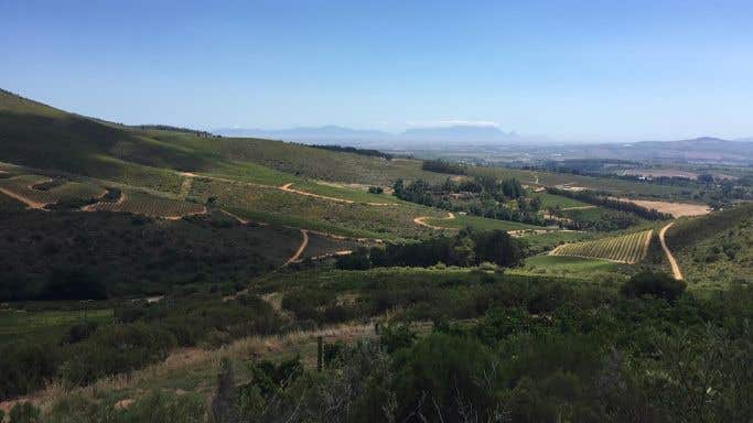 Reyneke wine estate in Stellenbosch